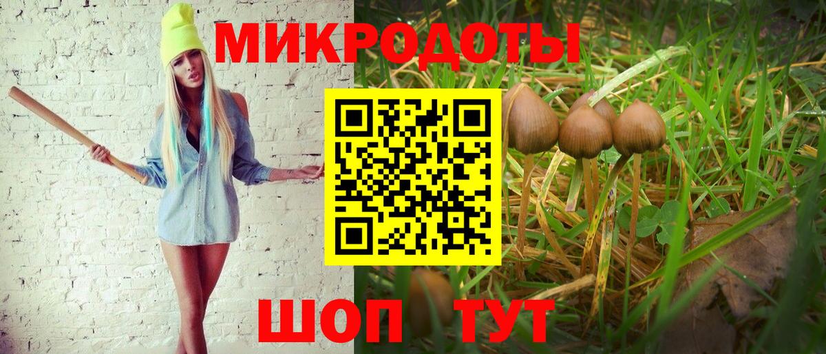 Галлюциногенные грибы мицелий Искитим