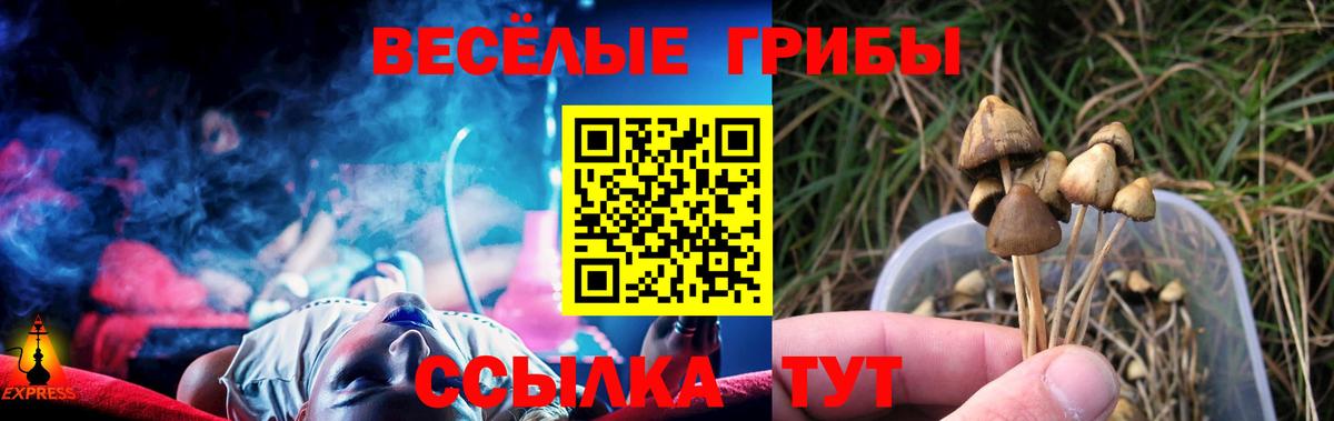 где можно купить наркотик  Вход с VPN  Искитим  Псилоцибиновые грибы MAGIC MUSHROOMS 